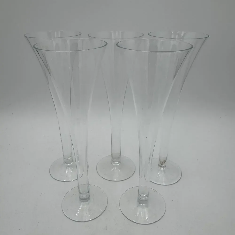 Champagne Flutes Crate and Barrel Optic Hollow Stem Set of 5